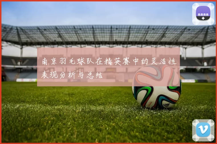 南京羽毛球队在精英赛中的灵活性表现分析与总结