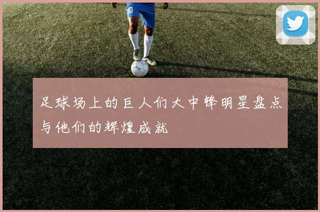 足球场上的巨人们大中锋明星盘点与他们的辉煌成就