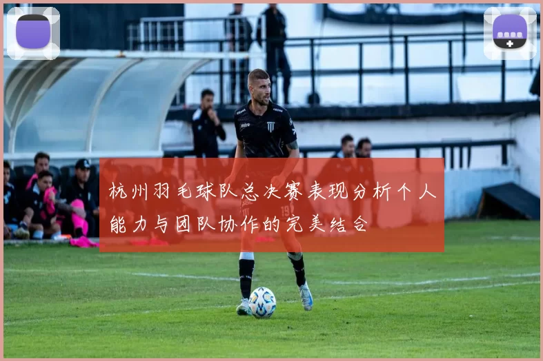 杭州羽毛球队总决赛表现分析个人能力与团队协作的完美结合