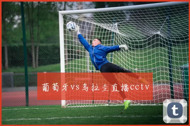 葡萄牙vs乌拉圭直播cctv