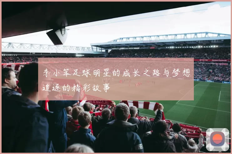 李小笨足球明星的成长之路与梦想追逐的精彩故事