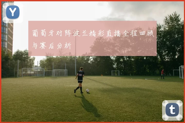 葡萄牙对阵波兰精彩直播全程回顾与赛后分析