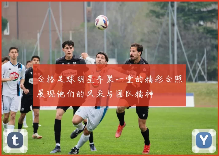 合格足球明星齐聚一堂的精彩合照展现他们的风采与团队精神