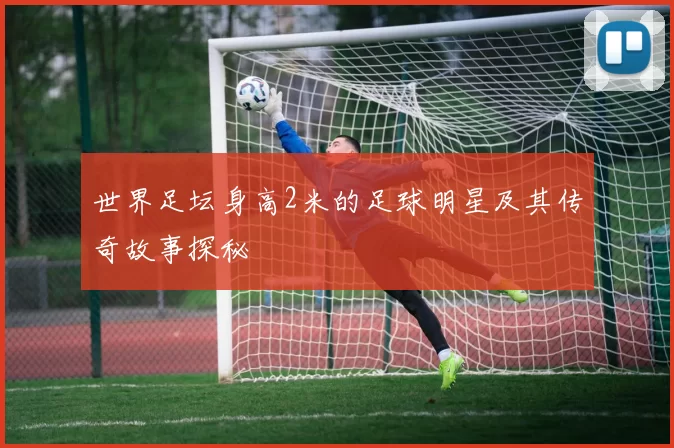 世界足坛身高2米的足球明星及其传奇故事探秘