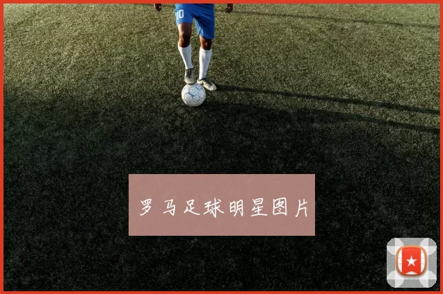 罗马足球明星图片