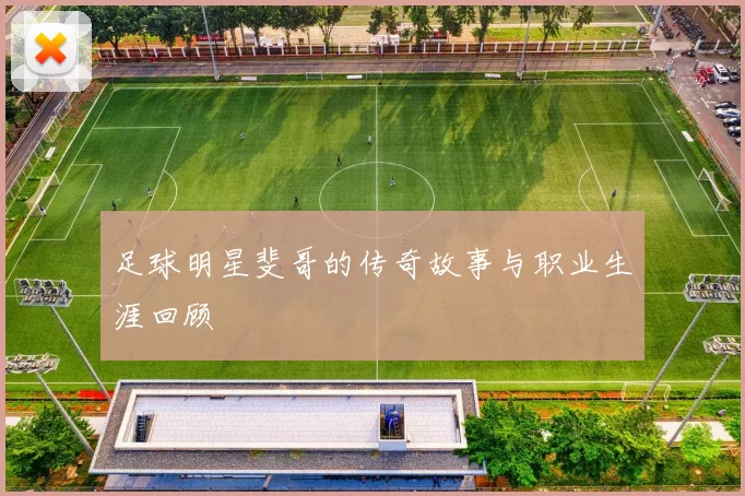 足球明星斐哥的传奇故事与职业生涯回顾