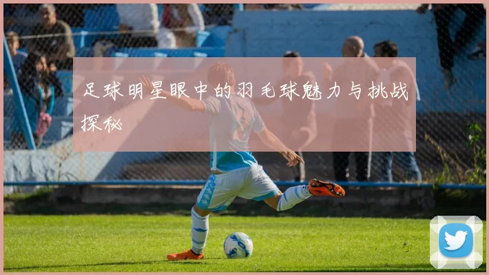 足球明星眼中的羽毛球魅力与挑战探秘