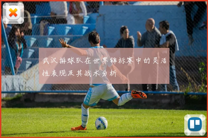 武汉排球队在世界锦标赛中的灵活性表现及其战术分析