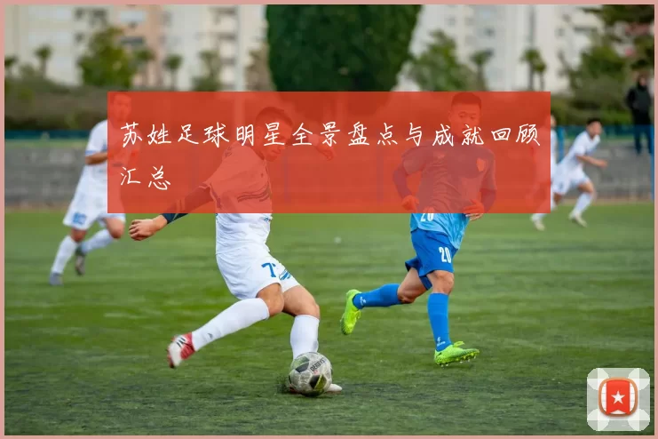 苏姓足球明星全景盘点与成就回顾汇总